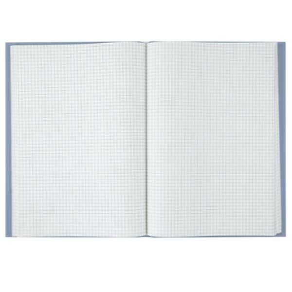 Книга учета А4 96л # BuroMAX BM2400-453і MORANDI STYLE тверд.переплет маренго 652442 фото